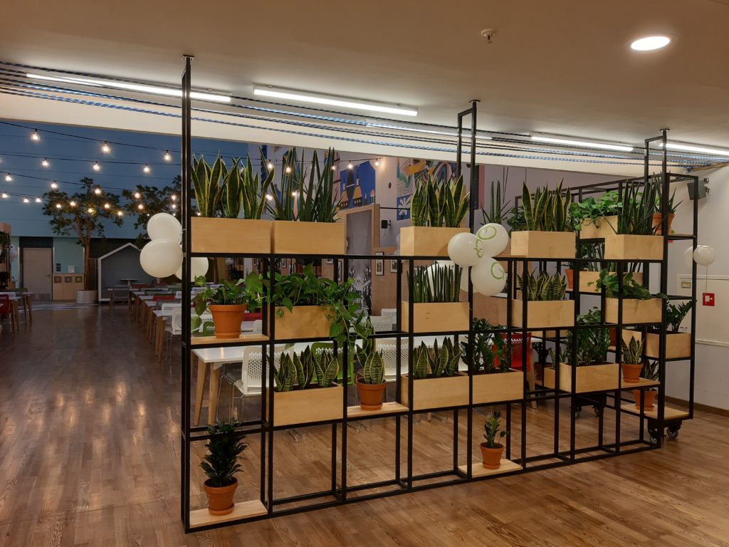 rośliny ozdobne we wnętrzach firmy biuro kraków